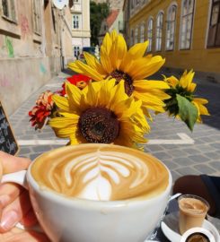 Nola coffeeshop